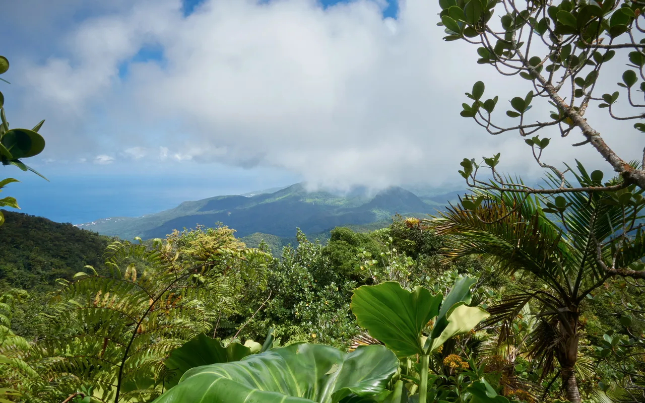 Ce qu'on croit savoir sur la Soufrière en Guadeloupe est souvent inexact