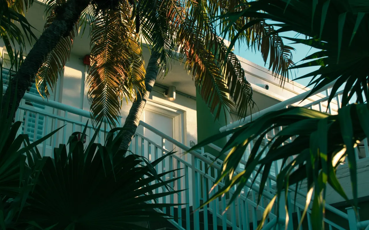 Chambre hote de charme en Martinique : pourquoi la plupart des voyageurs font le mauvais choix
