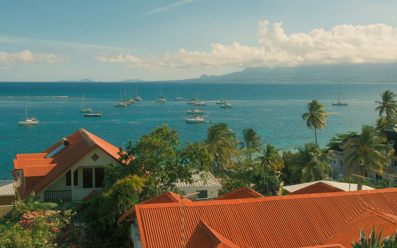 L'économie sociale et solidaire en Guadeloupe a plus à offrir qu'on ne le croit