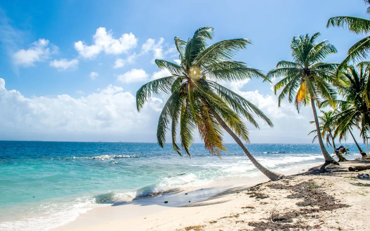 La baie du François en Martinique, entre fonds blancs et ilets préservés