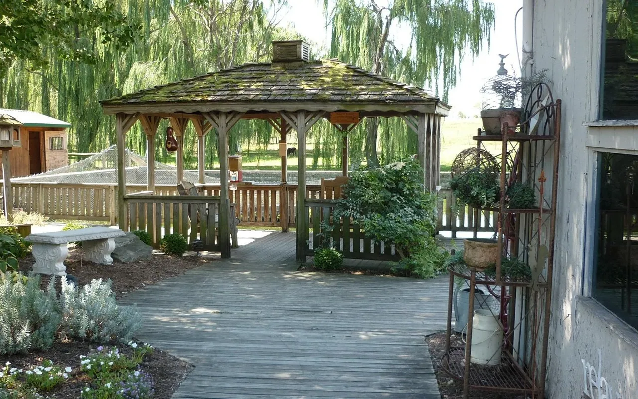 Pergola ou tonnelle : 4 critères pour ne pas se tromper