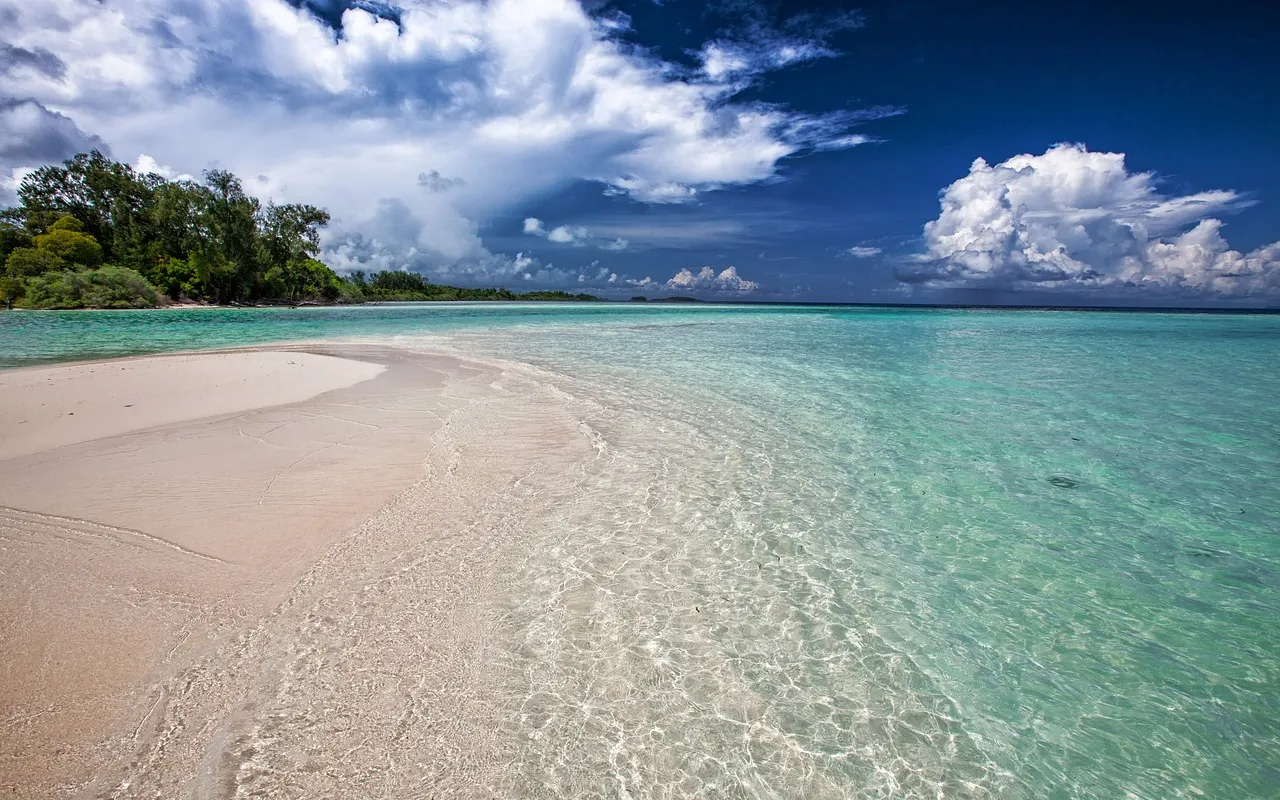 Plages en Guadeloupe : Grande-Terre ou Basse-Terre, laquelle vous correspond vraiment ?
