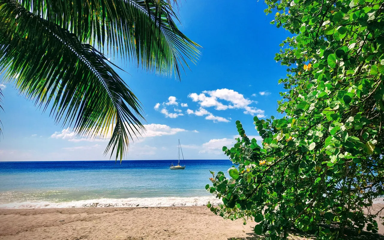 Partir en Martinique en août 2026 quand on veut profiter sans se tromper